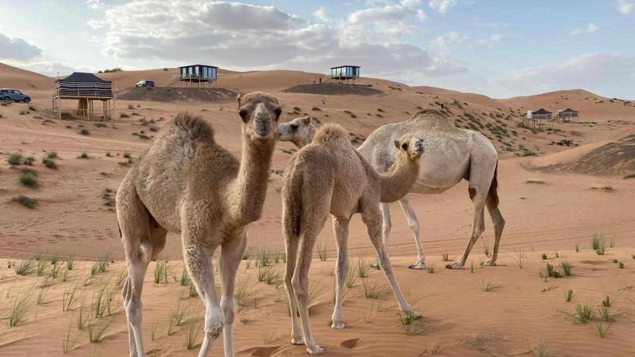 Oman Desert Private Camp Shāhiq Exterior foto